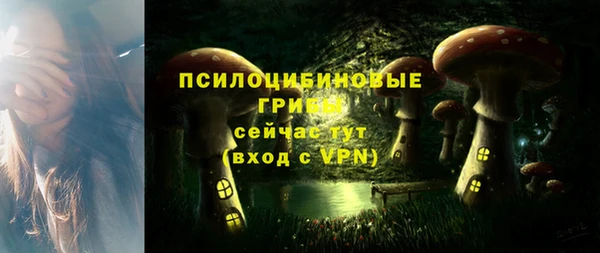 метадон Горнозаводск
