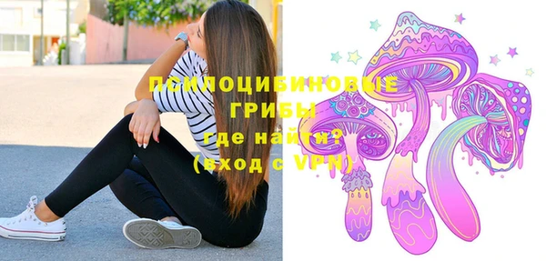 меф Горняк