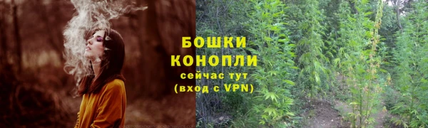 метадон Горнозаводск