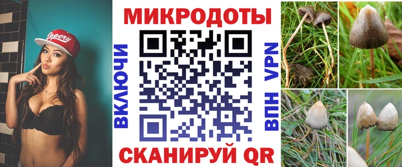 Галлюциногенные грибы GOLDEN TEACHER  Купить закладки  Почеп 